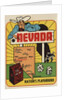 Nevada travel decal by Anonymous