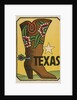 Texas travel decal by Anonymous