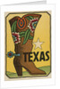 Texas travel decal by Anonymous