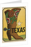 Texas travel decal by Anonymous