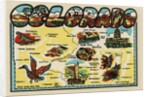 Colorado travel decal by Anonymous