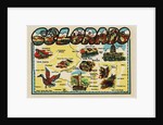 Colorado travel decal by Anonymous