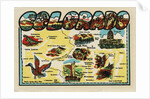 Colorado travel decal by Anonymous