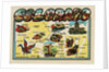 Colorado travel decal by Anonymous
