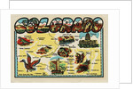 Colorado travel decal by Anonymous