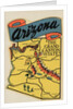 Arizona travel decal by Anonymous