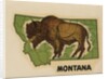 Montana travel decal by Anonymous