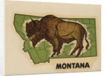 Montana travel decal by Anonymous