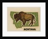 Montana travel decal by Anonymous