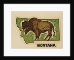 Montana travel decal by Anonymous