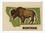 Montana travel decal by Anonymous
