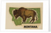 Montana travel decal by Anonymous