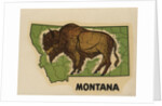 Montana travel decal by Anonymous