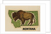 Montana travel decal by Anonymous