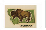 Montana travel decal by Anonymous