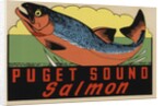 Puget Sound Salmon travel decal by Anonymous