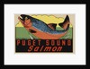 Puget Sound Salmon travel decal by Anonymous