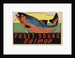 Puget Sound Salmon travel decal by Anonymous