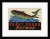 Puget Sound Salmon travel decal by Anonymous