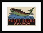 Puget Sound Salmon travel decal by Anonymous
