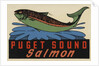 Puget Sound Salmon travel decal by Anonymous