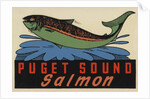 Puget Sound Salmon travel decal by Anonymous