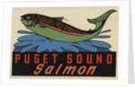Puget Sound Salmon travel decal by Anonymous
