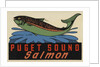 Puget Sound Salmon travel decal by Anonymous