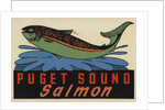 Puget Sound Salmon travel decal by Anonymous