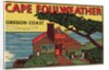 Cape Foulweather travel decal by Anonymous