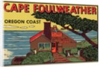 Cape Foulweather travel decal by Anonymous