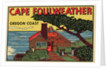 Cape Foulweather travel decal by Anonymous