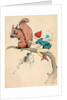 Elf and squirrel sitting on tree branch by Anonymous