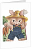 Birthday card with farmer rabbit by Anonymous