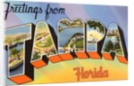 Greetings from Tampa, Florida by Anonymous