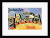 Greetings from Tampa, Florida by Anonymous