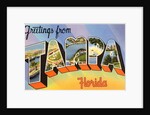 Greetings from Tampa, Florida by Anonymous