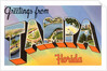 Greetings from Tampa, Florida by Anonymous