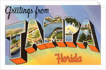 Greetings from Tampa, Florida by Anonymous
