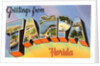 Greetings from Tampa, Florida by Anonymous
