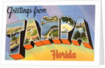 Greetings from Tampa, Florida by Anonymous