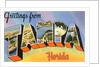 Greetings from Tampa, Florida by Anonymous