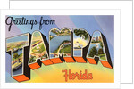 Greetings from Tampa, Florida by Anonymous