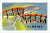 Greetings from Fort Myers, Florida by Anonymous