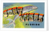 Greetings from Fort Myers, Florida by Anonymous