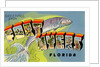 Greetings from Fort Myers, Florida by Anonymous