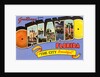 Greetings from Orlando, Florida, the City Beautiful by Anonymous