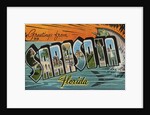 Greetings from Sarasota, Florida by Anonymous
