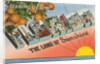 Greetings from Florida, the Land of Sunshine by Anonymous