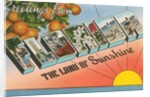 Greetings from Florida, the Land of Sunshine by Anonymous